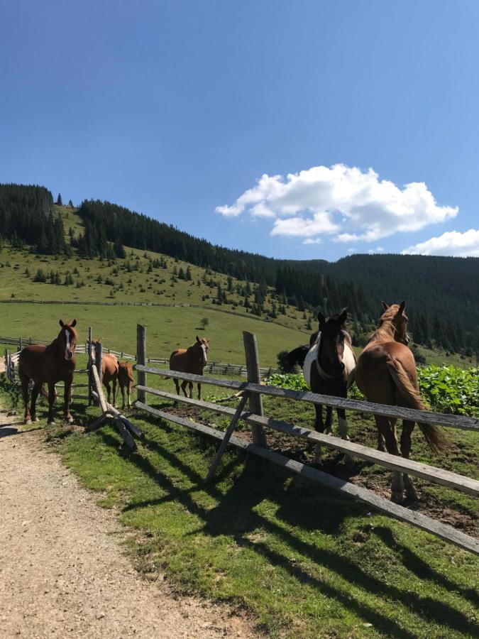 Вілла Софі Werchowyna Exterior foto